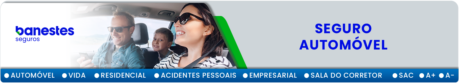Banner Automovel